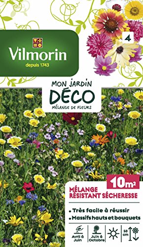 Vilmorin 5867248 Mélange résistant sècheresse, Multicolore, 11 x 1.5 x 19 cm