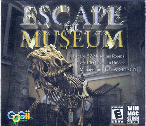 Image of Escape the Museum