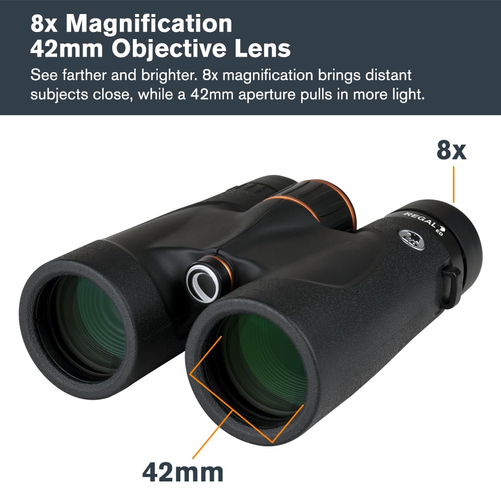 What is the Minimum Close Focus Distance in Binoculars? Explained Clearly