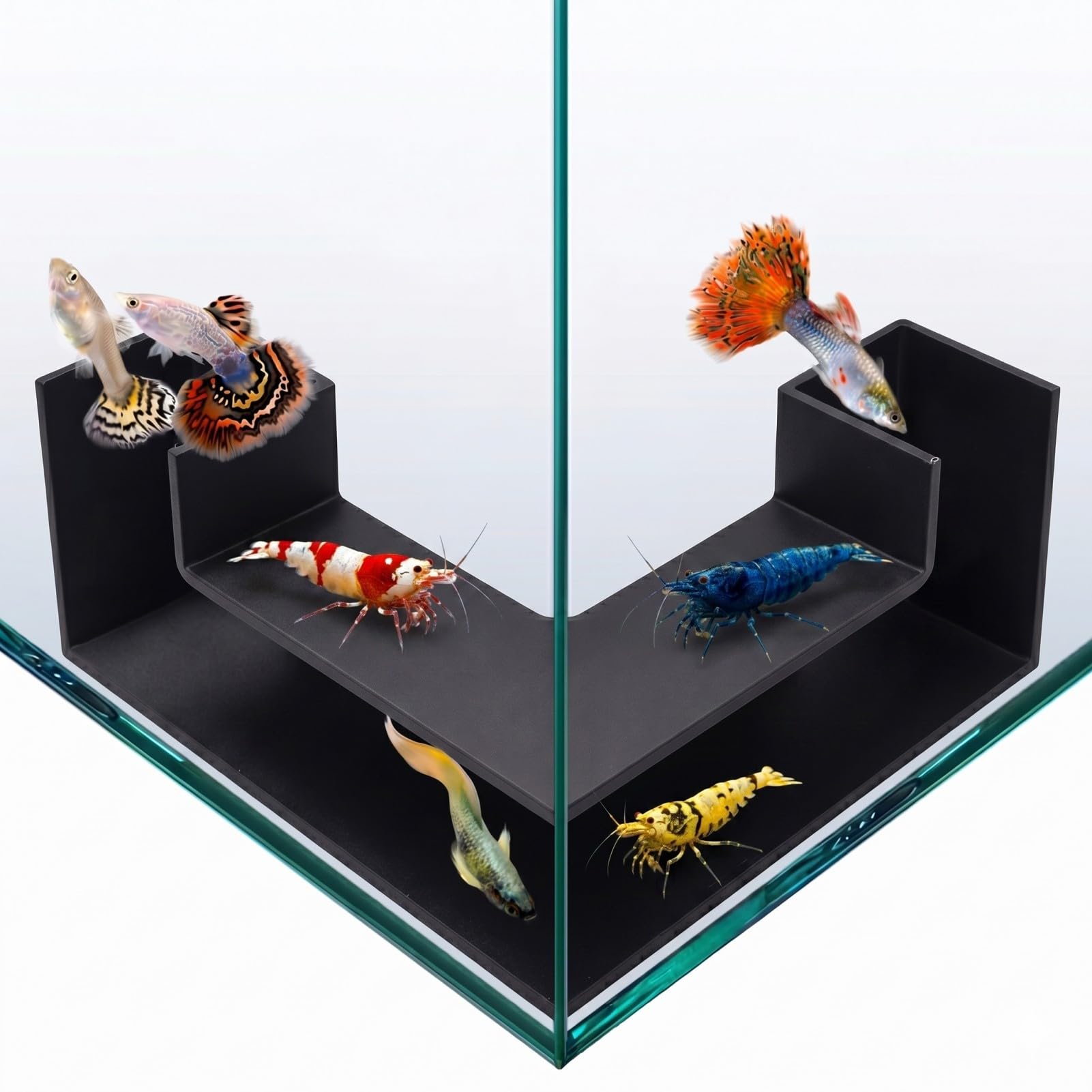 Shrimp & Fish Aquarium Decor - Tunnel Cave & Hideout for Aquarium