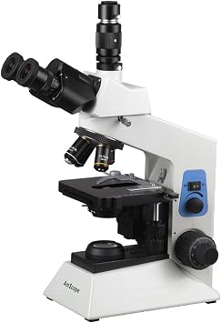 AmScope T580B 40X-2000X Professional Research Biological Compound Microscope