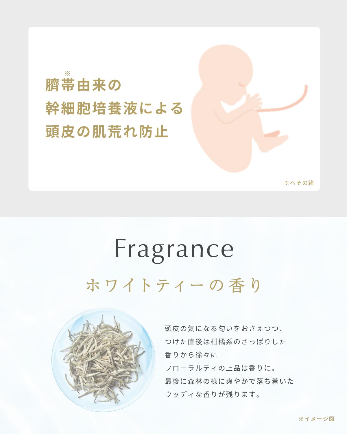 Amazon | 【ブランド公式】 Vivorka モイスチャーライジングヘアオイル