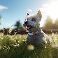 Vista 128 de Unique Style Paws - Collar rosa con hebilla de metal, duradero y lindo para perros pequeños a grandes