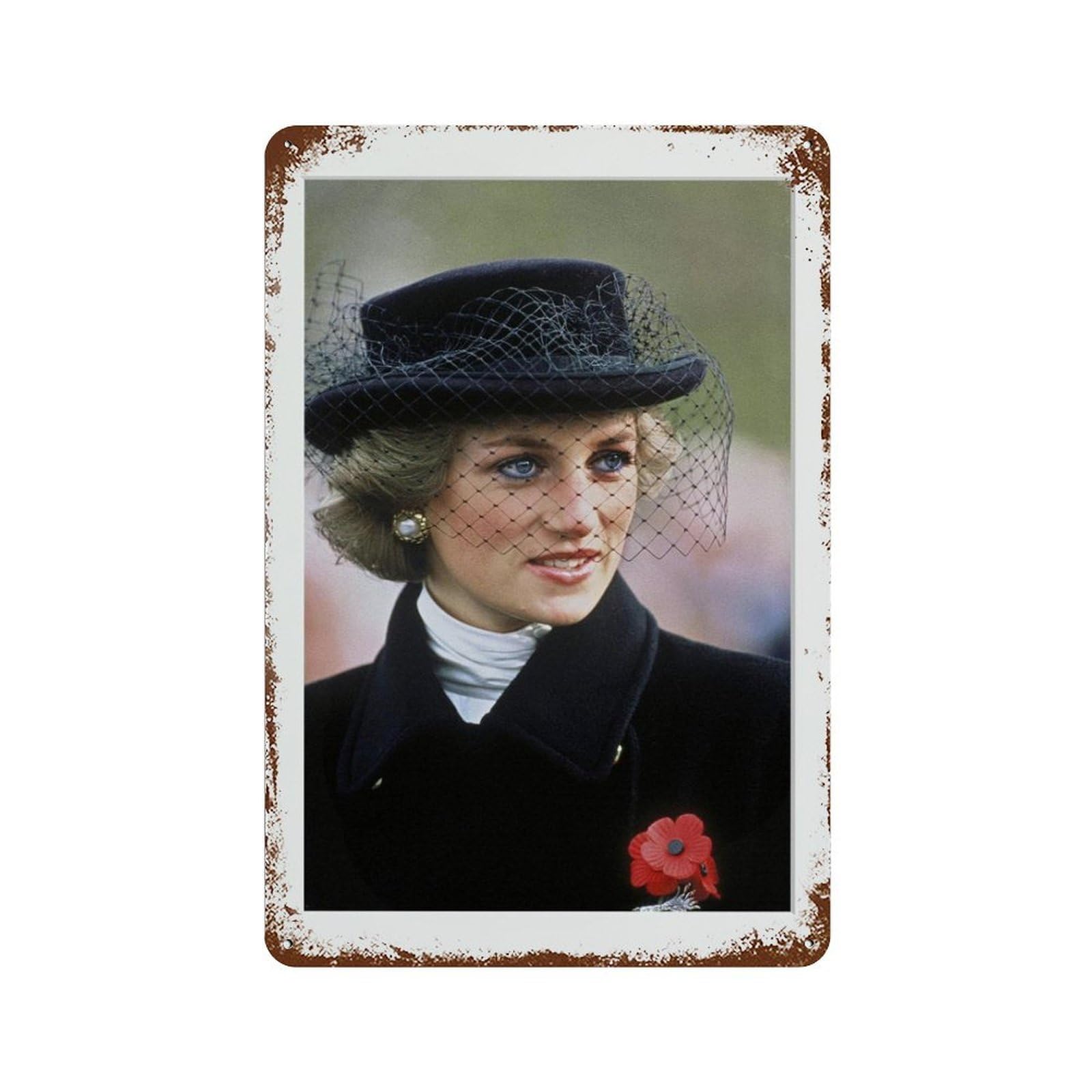 xiaoxiaoshen Lady Diana, Photography S1 Wall Decor Art Metal Tin Poster Modern Home Decor Art Home Bar Shop Decorations Vintage Sign 30x20cm