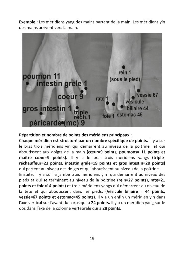 Diapasons, Kinésiologie et Acupuncture Traditionnelle Chinoise: Version Février 2026