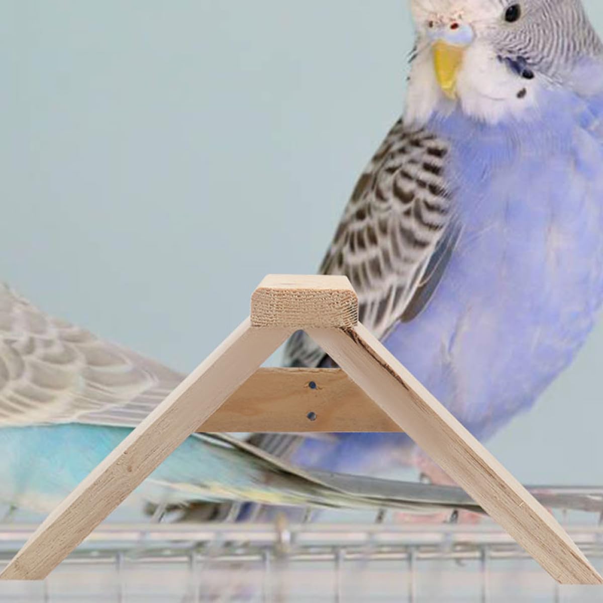 Perchoirs en Bois Naturel pour Pigeons et Poules, 5 Pièces, Support Stable et Solide, pour Cage à Oiseaux et Poulailler
