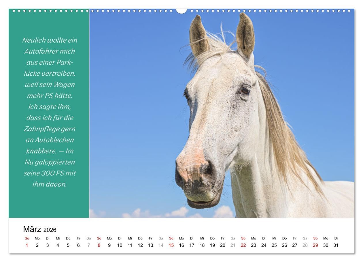 Tiere und feiner Humor (hochwertiger Premium Wandkalender 2026 DIN A2 quer), Kunstdruck in Hochglanz: Tiere in schönsten Bildern mit lustigen Sprüchen. (CALVENDO Spass)
