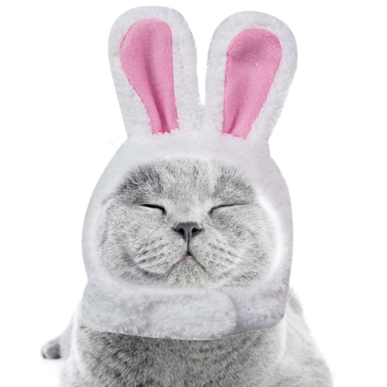 Amazon.co.jp: 猫用うさみみ帽子, 猫・小型犬用の耳付きうさぎうさぎ