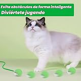 Ver la foto 5