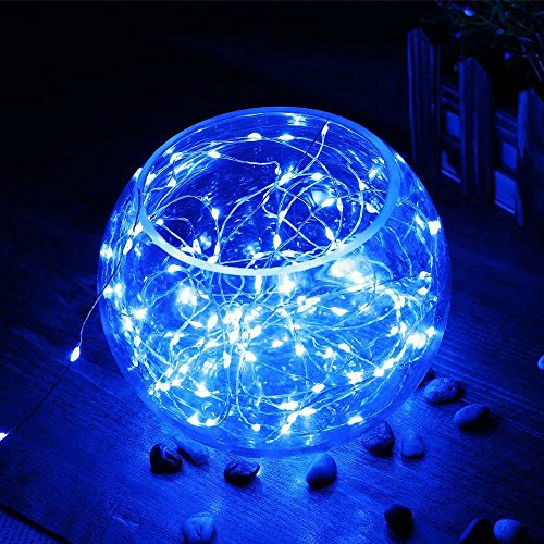 Er Chen 99Ft Led String Lights, 300 Led Fairy Starry Lights On 30M Silvery Copper Wire String Lights For Christmas (Blue) #TOP4