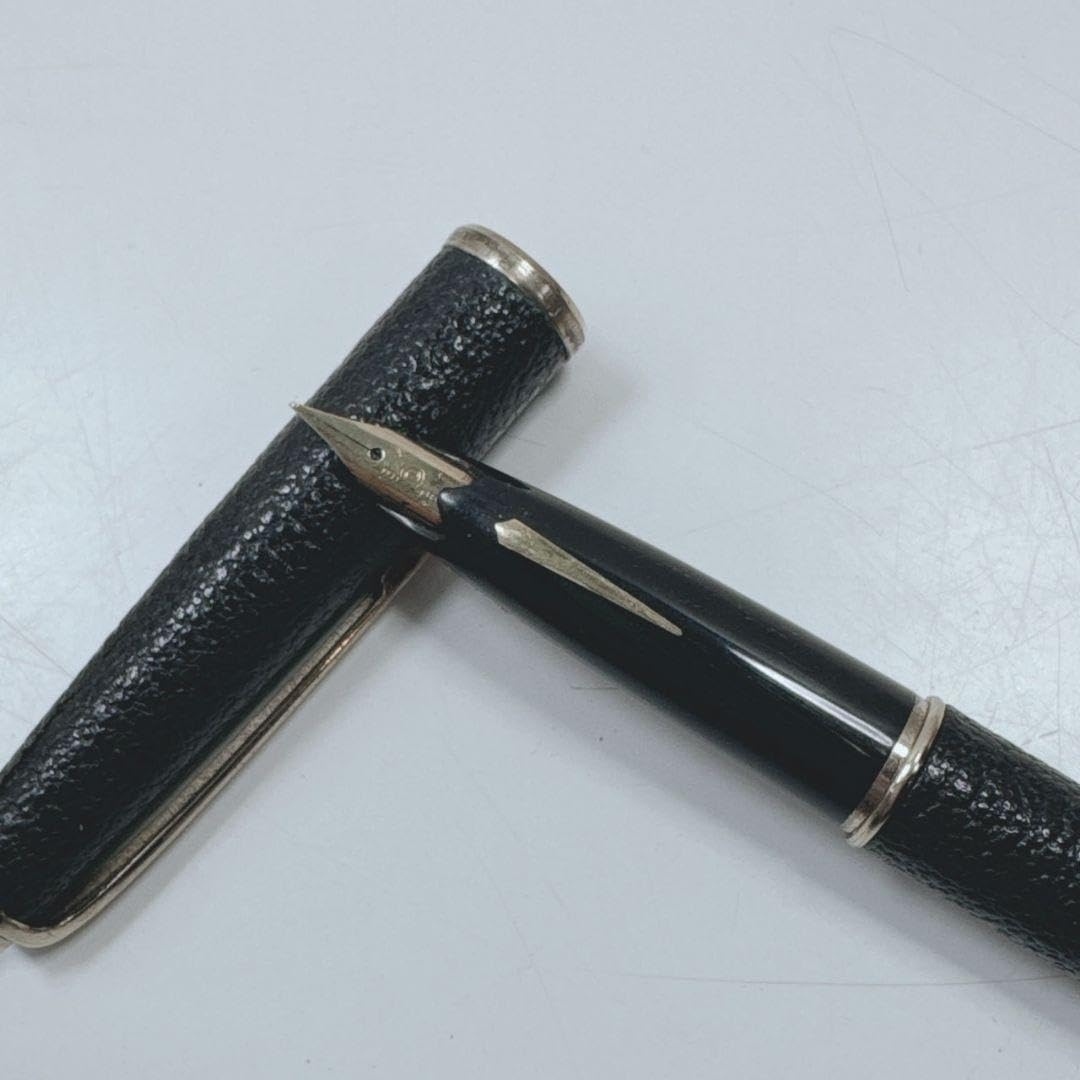 Amazon.co.jp: k1422 PLATINUM 万年筆 シープ 18K 旧型 : 文房具