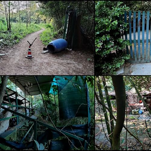 Episodio 77 - La triste fine dell'ippoterapia