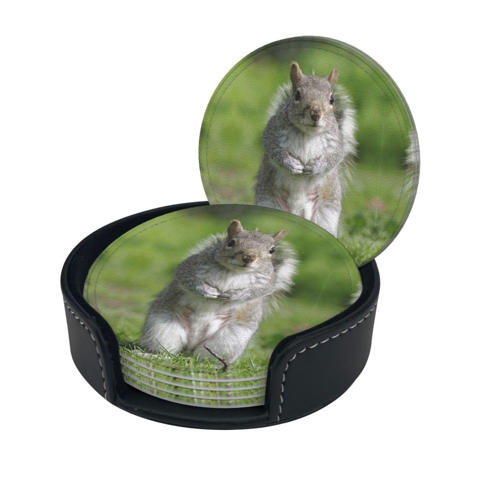 Squirrel Print Round Leather Coasters - Set Of 6, Ultra-Fiber Pu Leather