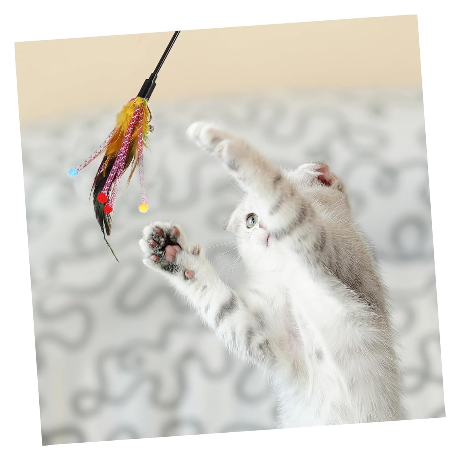 Katzen-Spielzeug, 4-teiliges Set mit Glocken, interaktives Spielzeug for Hauskatzen, zufällige Farben, spannendes Spielen for Kätzchen