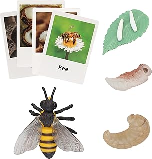 Montessori Animal Match Game Cards Marine Animal Matching Montessori Language Materials Toddlers Preschool Educational Learning Toys Language Materials Shape Sorting Toy (Bees)