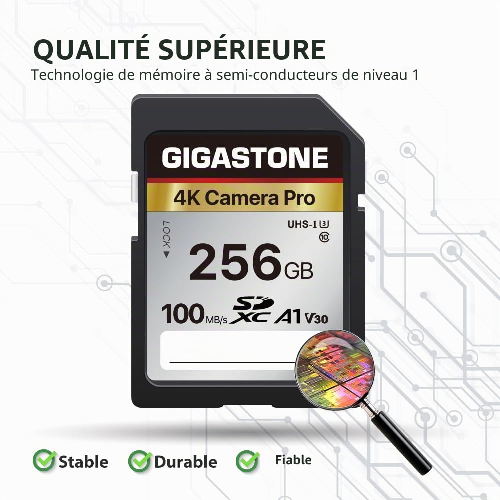 Gigastone Carte Mémoire SDXC 256 Go, 4K Pro Série, Vitesse de Transfert allant jusqu'à 100 Mo/s. Compatible avec Caméra Canon Nikon Sony Caméscope, A1 V30 UHS-I Classe 10 pour 4K UHD Vidéo