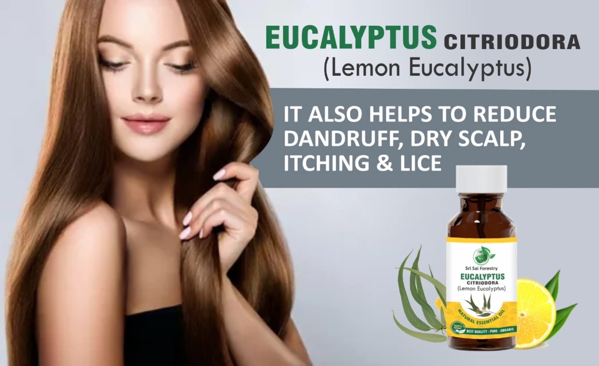 SRI SAI FORESTRY Eucalyptus Citriodora Oil β Lemon Eucalyptus - 100 ML Refreshing Lemon Scent for Aromatherapy 4