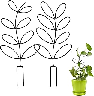 Hoypeyfiy Metal Potted Plants Trellis,Metal Wire Potted Plant Support Stake, Leaf Shape Garden Trellis for Climbing Plant and Other Small Potted Plant