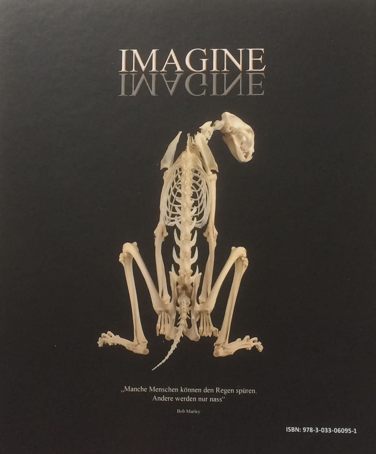IMAGINE band 3: bewegung & form: biodynamik - craniosakral arbeit mit tieren