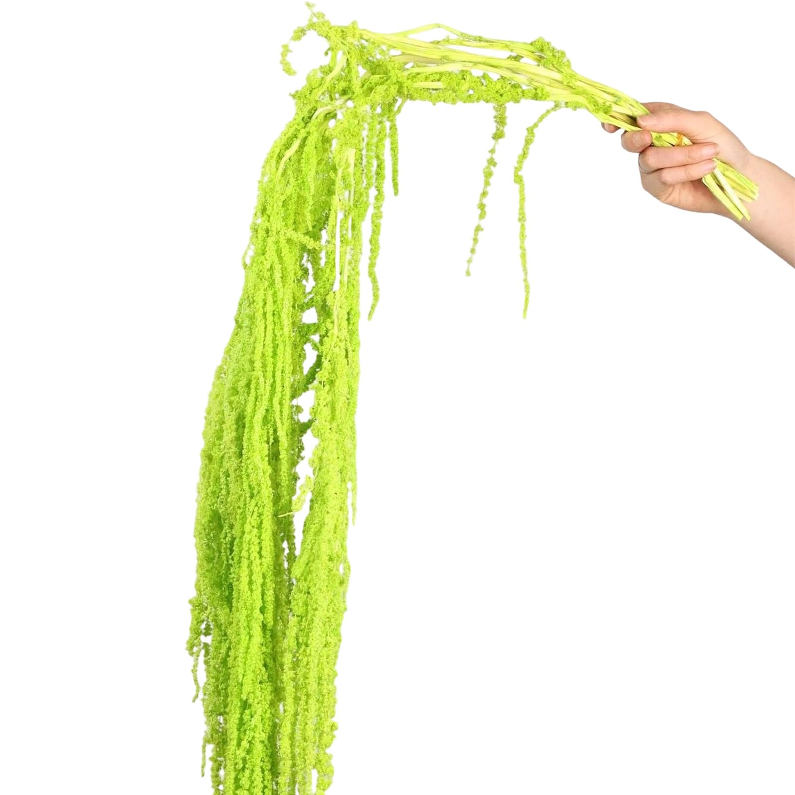 Tsophreniq Preserved Rice Stems Floral Arrangement for Table Centerpieces Wedding Reception Indoor Decoration 70cm Faux Rice Blossomy Display