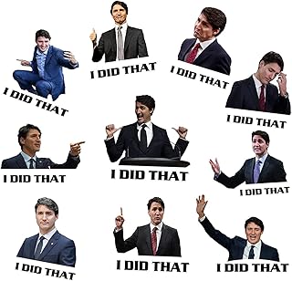 100 PCS I Did That Trudeau Stickers, Waterproof Justin Trudeau I Did That Sticker, Funny Stickers with 10 Different Patterns for Car Window Glass Bumper Motorcycle Water Bottles, Backpack, Phone