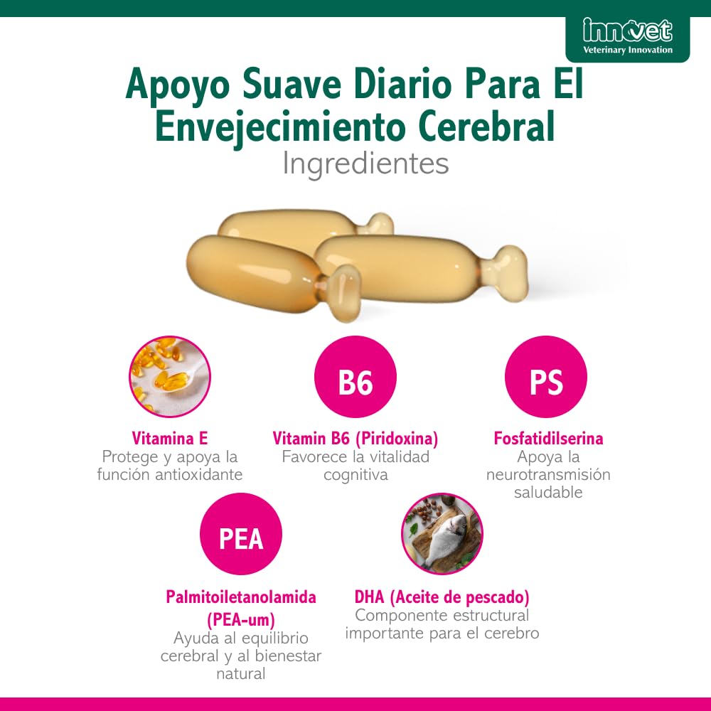 Innovet Senilife Plus 60 Cápsulas Monodosis – Apoyo al Bienestar Cerebral en Perros y Gatos Sénior – Vitaminas Perros Mayores Ayuda a Mantener el Equilibrio Cognitivo y la Vitalidad Mental Natural