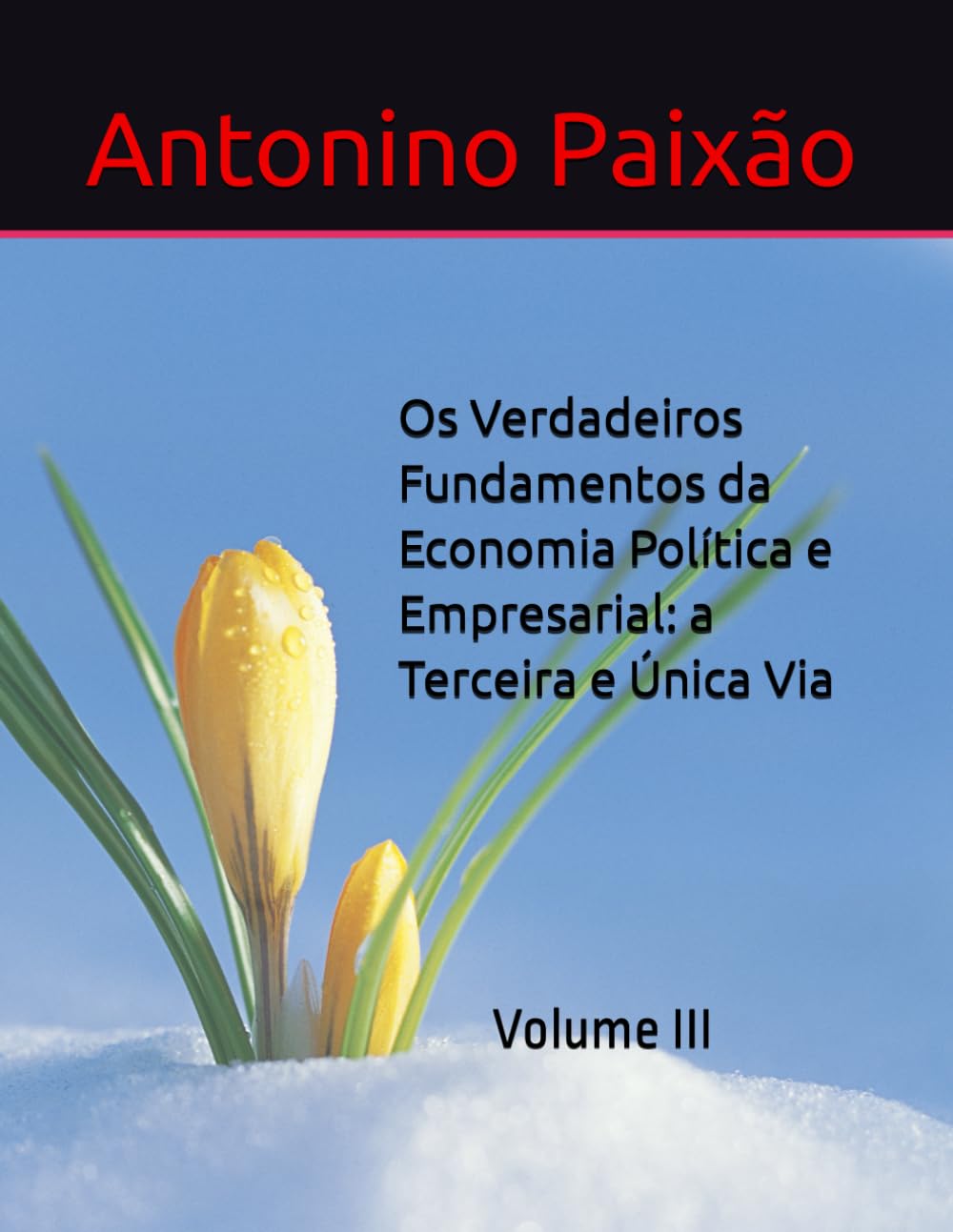 Os Verdadeiros Fundamentos da Economia Política e Empresarial: a Terceira e Única Via: Volume III