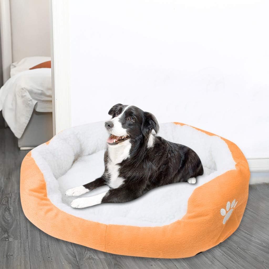 coperta accogliente per cane