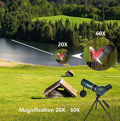 Maxusee High Definition 20-60X60 Zoom Spotting Scope With Tripod Carry Bag Phone Adapter, Bak4 Prism & Fmc Lens Shock-Proof For Target Shooting Hunting Bird Watching Wildlife Scenery #TOP4
