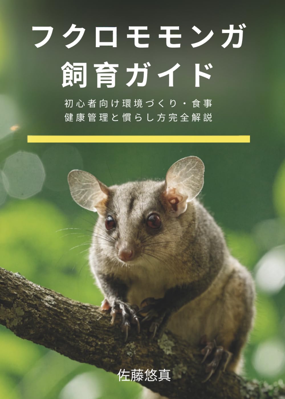 フクロモモンガ飼育ガイド: 初心者向け環境づくり・食事・健康管理と慣らし方完全解説