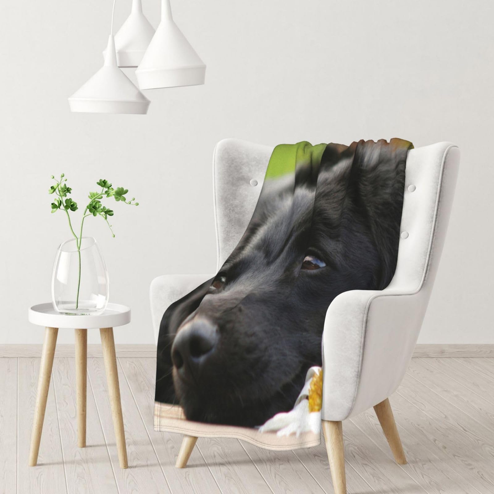 InOmak Cute Black Labrador Dog Pattern,Soft Blanket Warm Anti-Pilling Flannel Plush Throw Blanket 76 X 102 cm