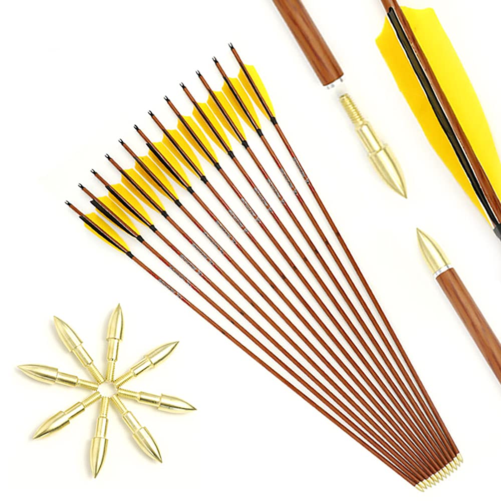 Spine 500 Flèche 32 Pouces Flèche Flèches Carbone Flèche Cible Flèche de Chasse Arc à Poulies Arc Classique Adulte Jeunesse Tir à l’Arc Entraînement 12pcs comme Le Bois