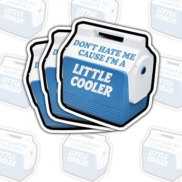 3pcs Dont Hate Me Cause Im A Little Cooler Sticker Funny Sarcastic Confidence Quote Meme Lovers for Laptop Water Bottle Phone Case Tumbler Kindle Hard Hat Quote Decal Gifts 3in LC