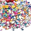 Natural Crushed Shells Chips, 14.5 oz Green Mosaic Sea Shell Fragments for Crafts, Small Crushed Shells Bulk Sea Shells for Vase Fillers, Wedding Party, Succulent Plants, Wall Art #4