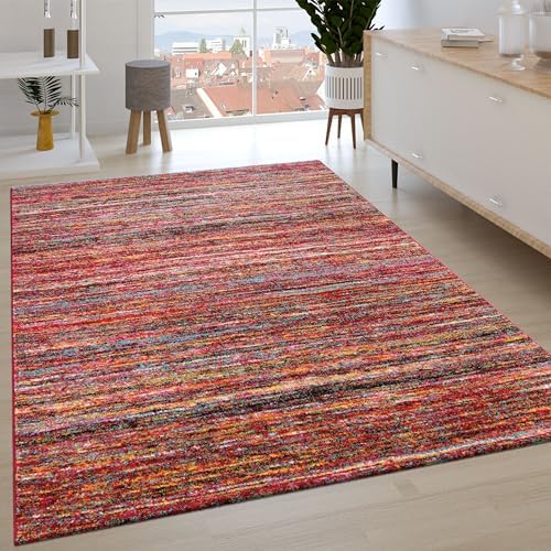 Paco Home Tapis Salon Chambre Adulte Poils Ras Motif Ethnique Mot...