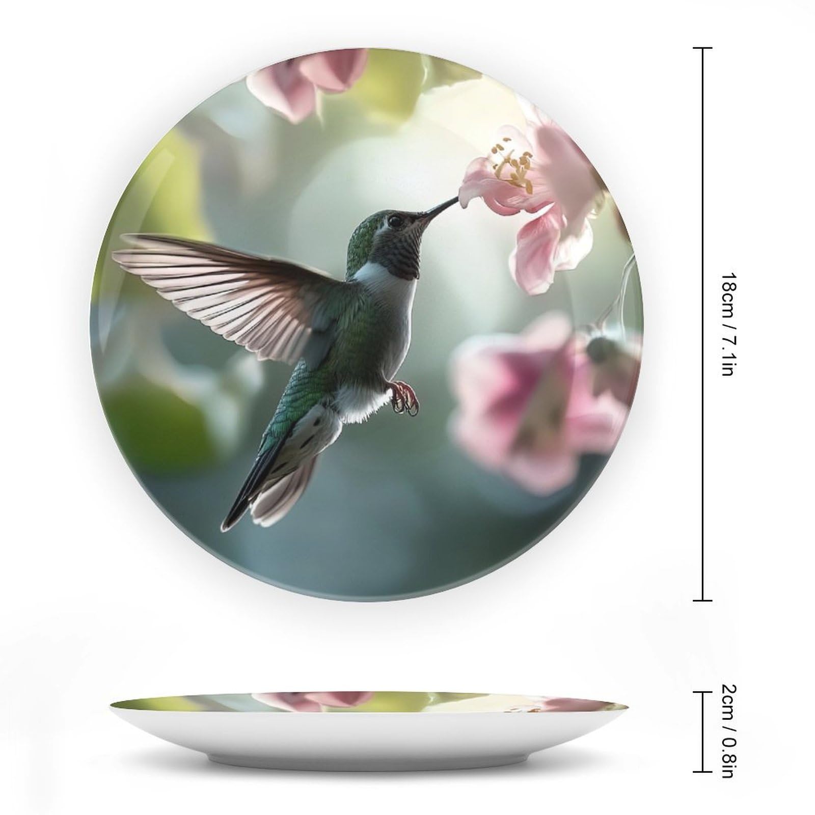 BHTLARNGY Hummingbird Ceramic Decorative Plate, Animal Decorative Dish with Stand, Bird Flowers Bone China Decorative Plates Art Porcelain Plate for Living Room Hallway Table Decor