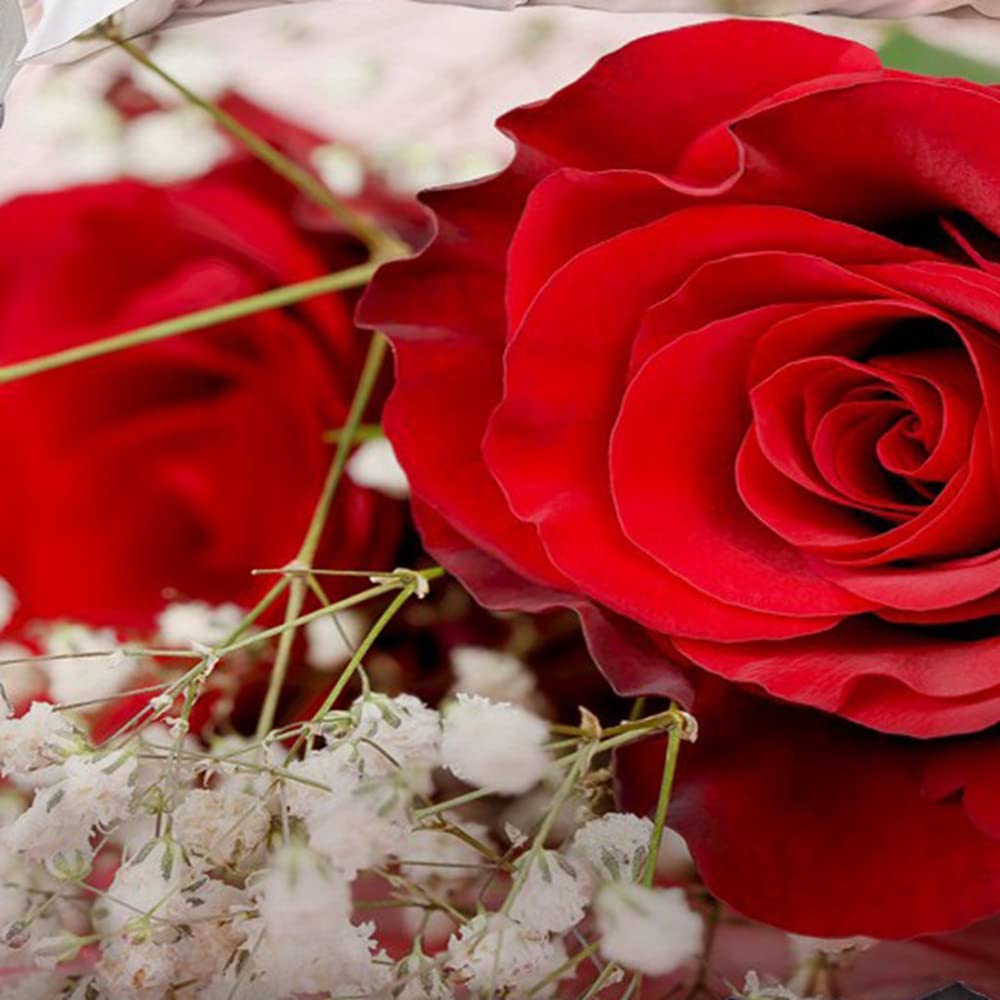 Set di biancheria da letto con stampa 3D, rosso rosa, copripiumino romantico, rosa, per ragazze e adulti, decorazione per la camera da letto