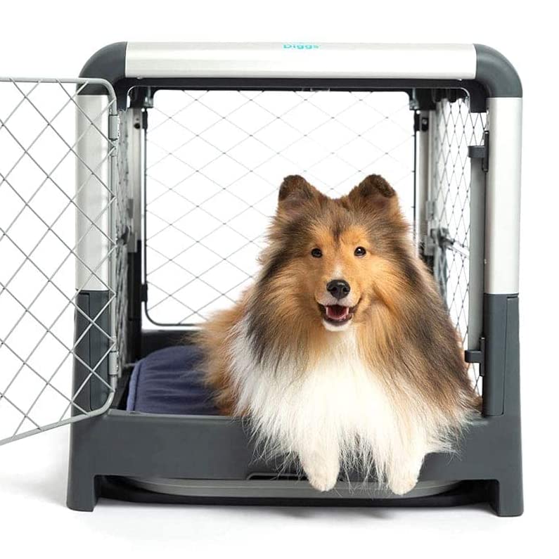 Diggs Revol Dog Crate (Collapsible Dog Crate, Portable Dog Crate