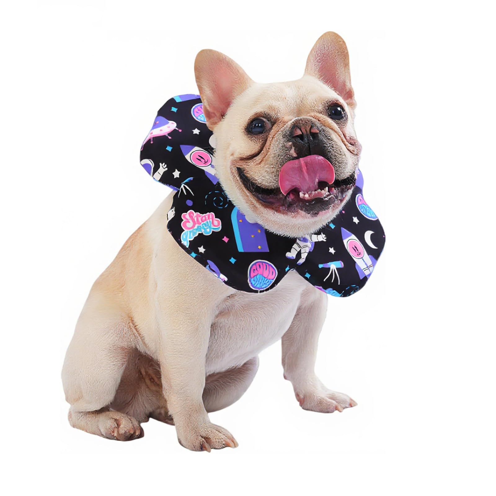 PetWarm Dog Recovery Collars, Recovery Collar for Dogs, Comfortable Lightweight Design for Licking Prevention, Soft Collar for Dogs After Surgery Flower Design, Cosmic Pattern, Purple, S