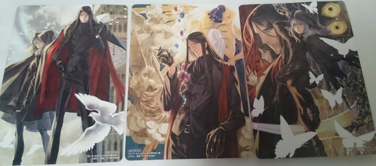 Amazon.co.jp: ロード エルメロイII 世の事件簿 13巻 イラスト カード