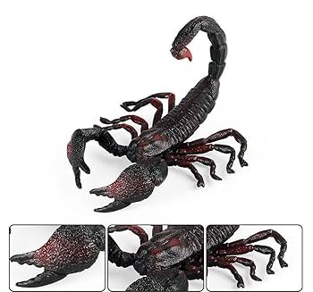 Amazon.co.jp: ? ? サソリ フィギュア リアル 動物 ZOO 約22g