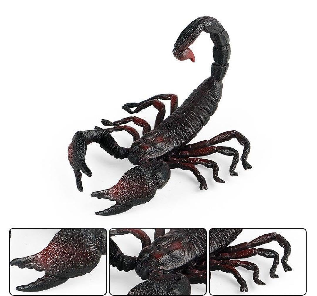 サソリの置物 717fElf3KjL._UF894,1000_QL80_.jpg