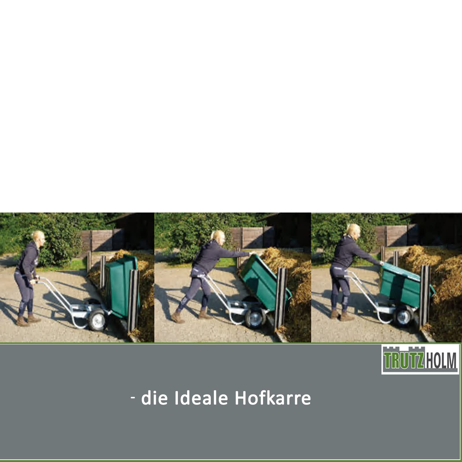 Tipper255 Kippkarre Hofkarre Mistkarre Großmulden-Kippkarre 260 Liter 200 kg Traglast Silber/ Grau