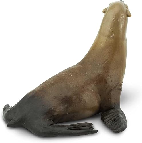 Miniatura 6 de Safari Ltd. Figura de león marino – Figura detallada de modelo de plástico de 3.1 pulgadas – Divertido juguete educativo para niños, niñas y niños a