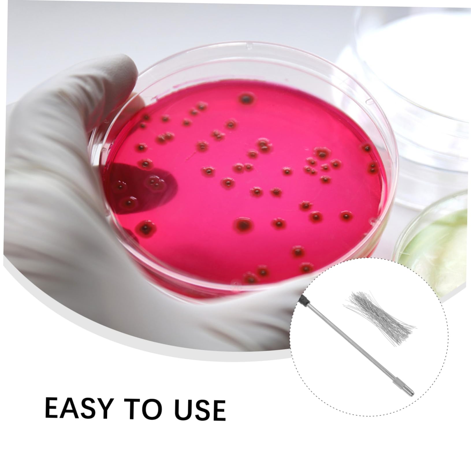 Cabilock 3 Set Bastoni Inoculazione in Inossidabile per Laboratorio Microbiologico con Filo Nichelcromo per Esperimenti Scientifici Inoculazione Campioni Accessori per Test Chimici