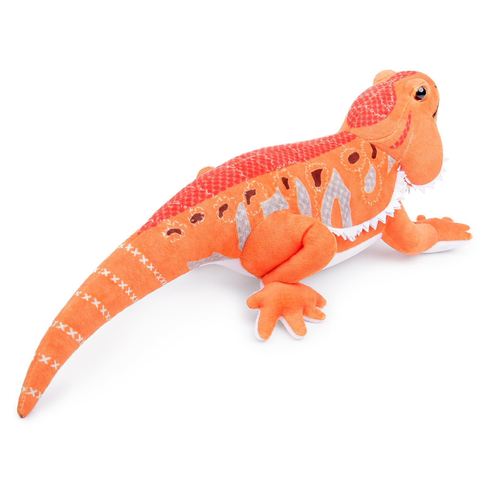 トカゲ ニシマツカサトカゲ入荷！！ 期間限定の大特価にて販売！ LINE