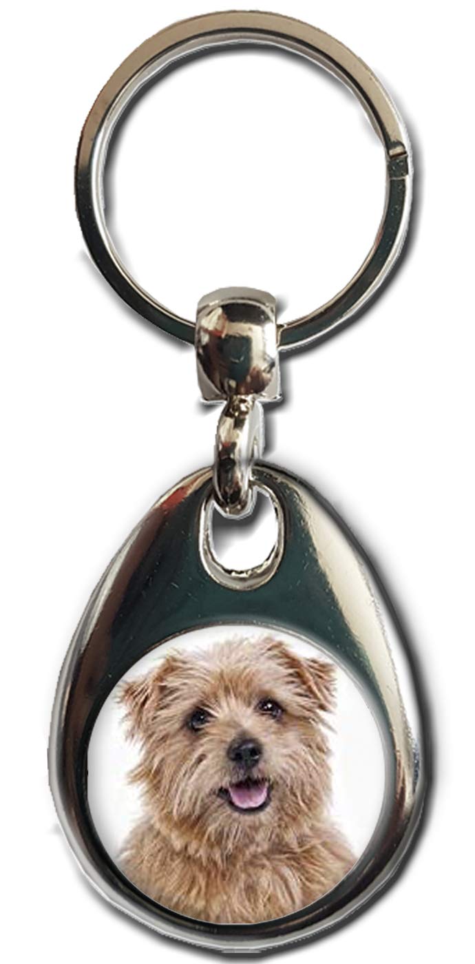 Kazmugz Multicolor Norfolk Terrier Keyring. Heavy Quality Metal Gift Keyring. Double Sided Keychain. Puppy Dog Pet Gift.