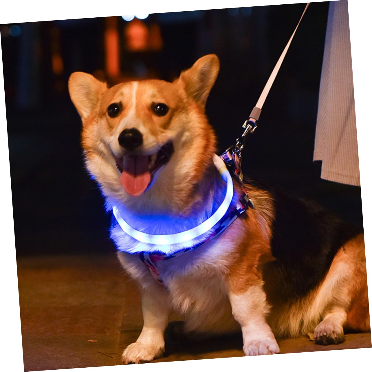 Toddmomy 3juegos Collar Led USB Recargable para Collar Luminoso y para Seguridad Nocturna