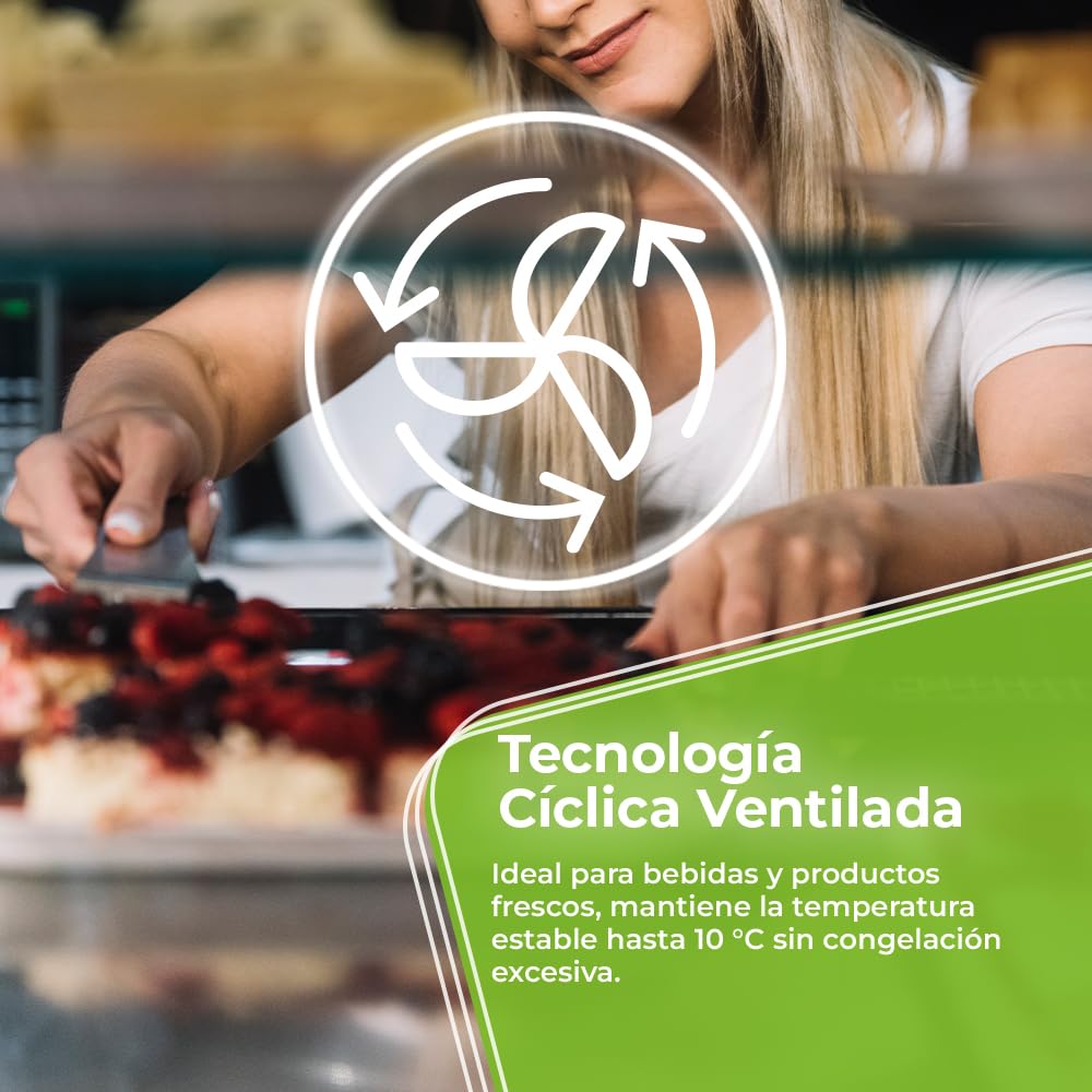 Aspes Frigorífico Horeca Negro, 1 Puerta ARH1755500ENF, Capacidad 275 Litros, Cíclica ventilada, Bajo Nivel Sonoro, Clasificación Energética E