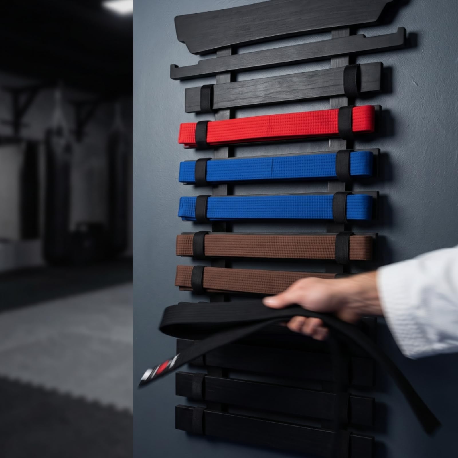 harayaa Pared para Cinturones, color to 2, 12 Celdas